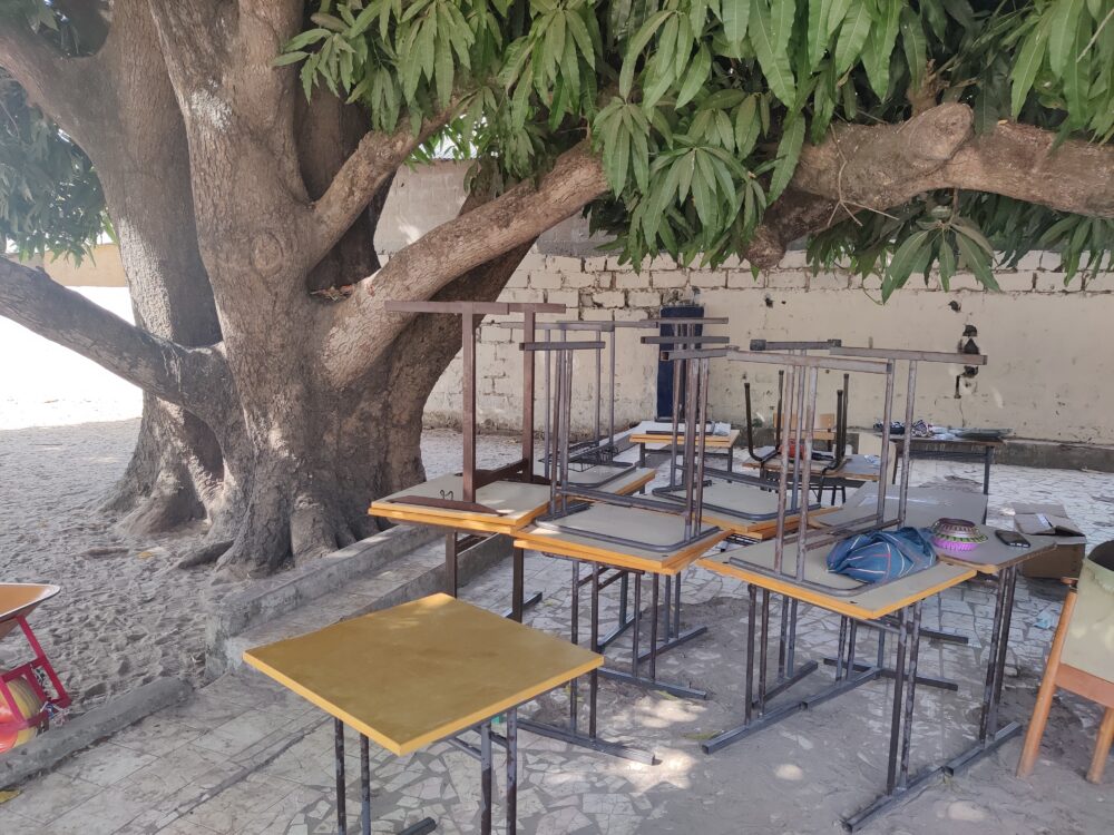 IMG_20240208_164829