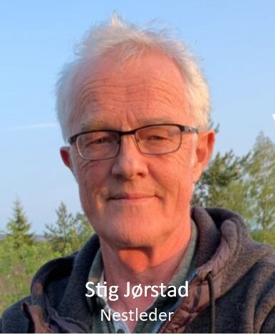 Stig